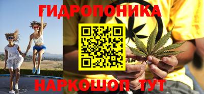 винт Гай