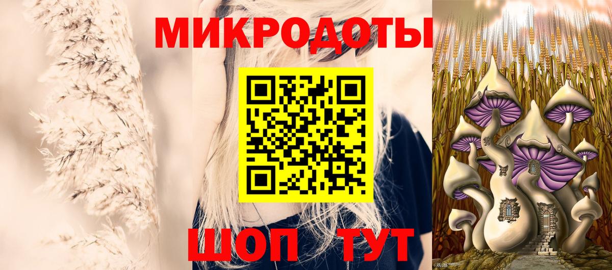 Галлюциногенные грибы прущие грибы  Псилоцибиновые грибы Psilocybe  Минусинск  как найти наркотики  Вход с VPN 
